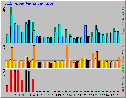 Daily usage for January 2025