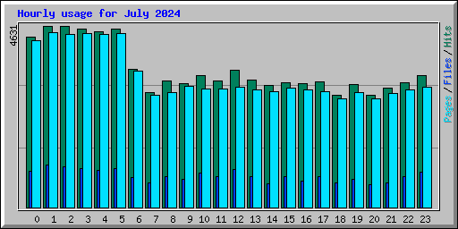 Hourly usage for July 2024