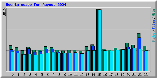 Hourly usage for August 2024