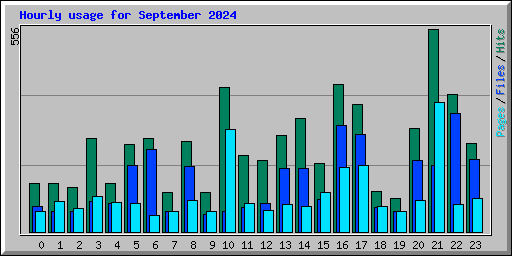 Hourly usage for September 2024