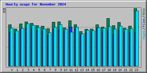 Hourly usage for November 2024