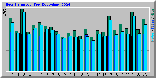 Hourly usage for December 2024