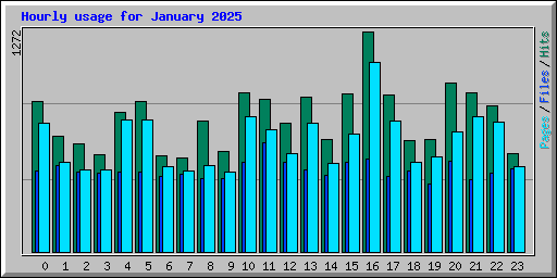 Hourly usage for January 2025