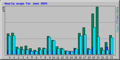 Hourly usage for June 2025