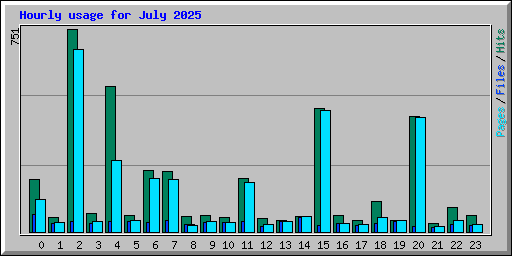 Hourly usage for July 2025