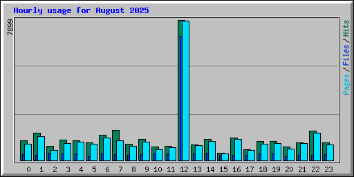 Hourly usage for August 2025