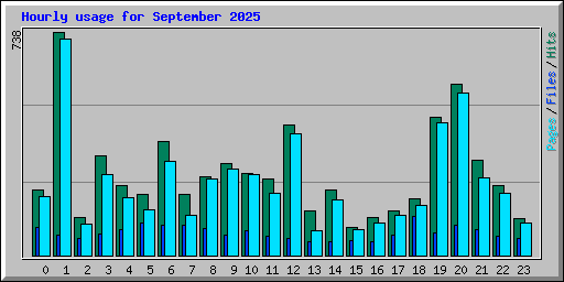 Hourly usage for September 2025