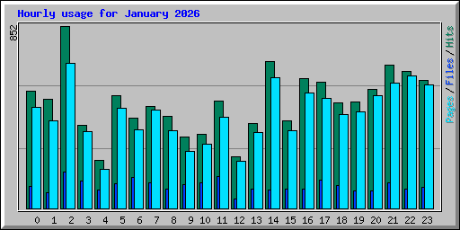 Hourly usage for January 2026
