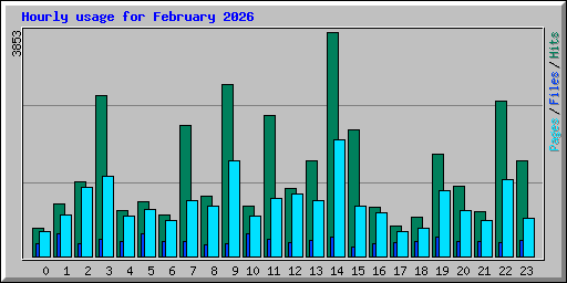 Hourly usage for February 2026