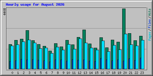 Hourly usage for August 2026