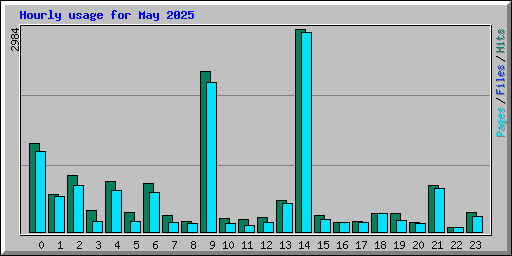 Hourly usage for May 2025