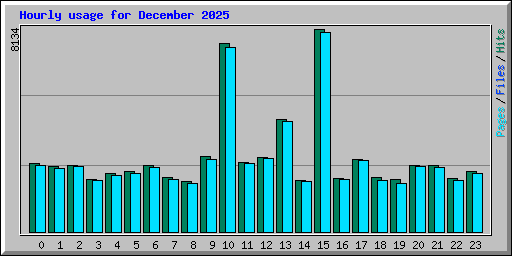 Hourly usage for December 2025