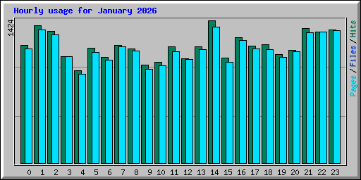 Hourly usage for January 2026