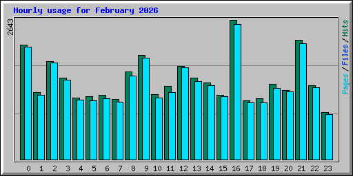 Hourly usage for February 2026