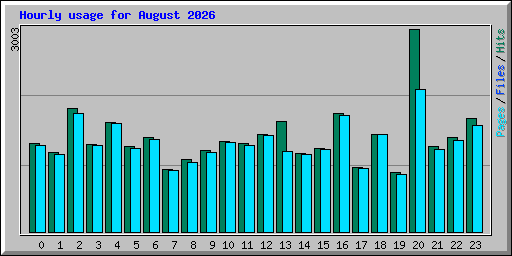 Hourly usage for August 2026